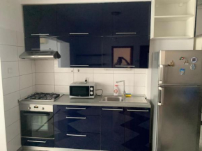 nice 1 bdrm apartment in center